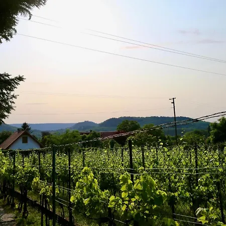 Apartment Aranka Neni Hazikoja *